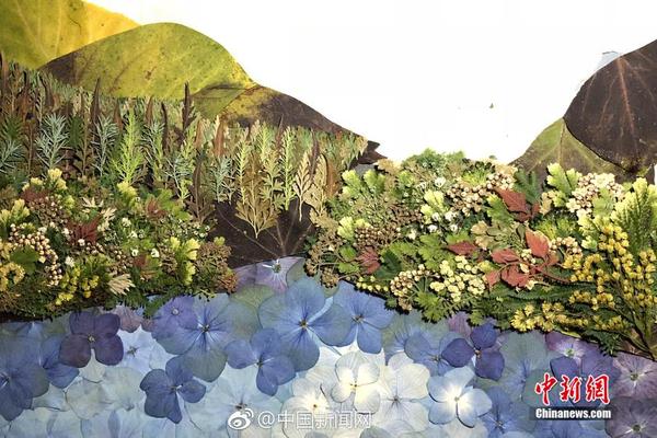 爱玩芝士派这款游戏在国内外的待遇为何如此不同？2018-03-23