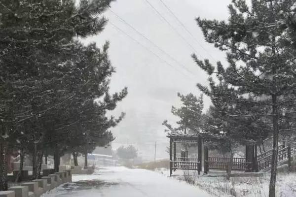 宝藏世界角色扮演公测