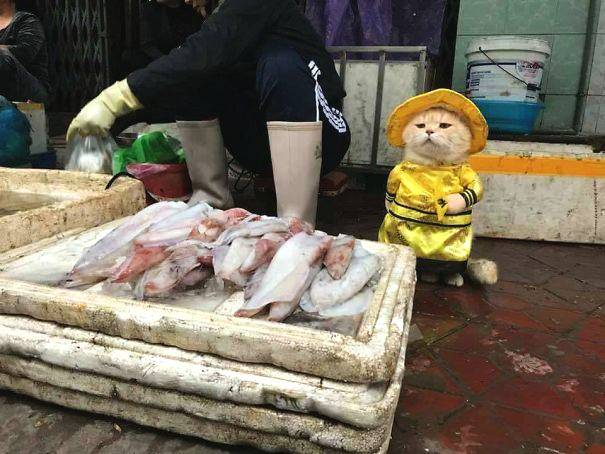 中国电竞，会不会走上中国足球的老路？热点聚焦谢晓峰