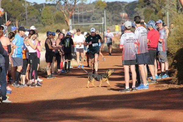 当一个特摄片不缺钱时会变得多可怕？游戏文化二十四
