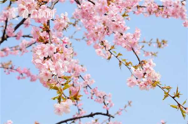 孤岛惊魂5By欧阳花花8.0育碧大杂烩，可口又美味。