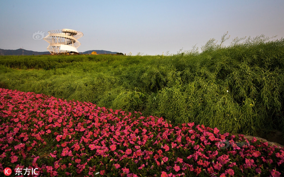 权力的游戏东方版？三国文化如何渗透欧美热点话题美味铁板章鱼